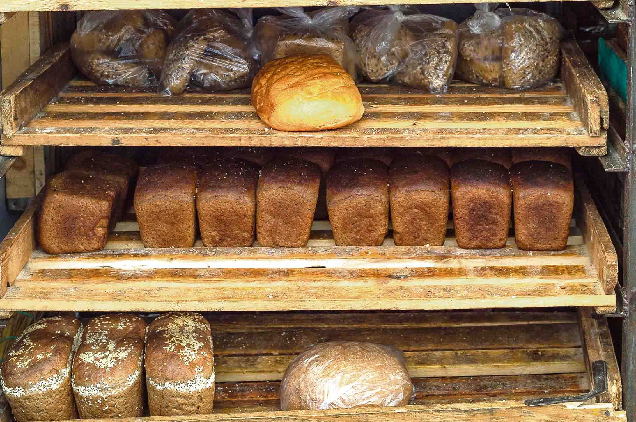 Куда девать хлеб после 40 дней. Заплесневелый хлеб. Хлеб в гараже. Хлебная четвёрка гитаристов. Самый заплесневелый хлеб в мире.